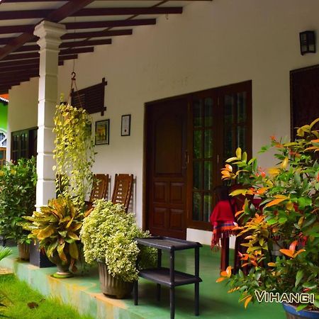 Vihangi Guesthouse Dambulla Ngoại thất bức ảnh